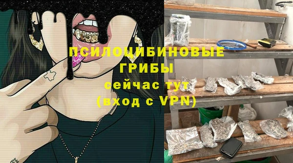 стафф Богородицк