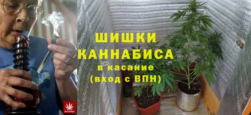 ссылка на мегу как войти  Подольск  Бошки Шишки OG Kush 